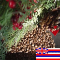 Café Hawai Maui Island (sac 1kg)