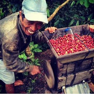 Café Salvador ALTAMIRA ESTATE