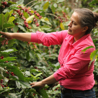 Carton 5kg - Café Honduras Marcala Miriam Elisabeth Perez BIO*