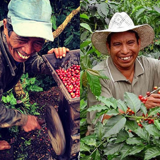 DUO Salvador - APANECA / ALTAMIRA ESTATE 2x1kg + 250g San Jorge FRANCO