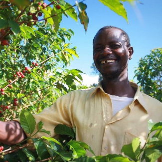 Carton 5kg - Café Ethiopie moka sauvage KAFFA Tatmara