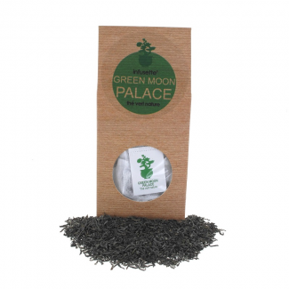 Infusettes x20 GREEN MOON PALACE