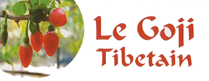 Le Goji tib&eacute;tain