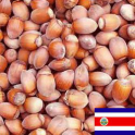 Café parfumé Noisette (Sac 1Kg)