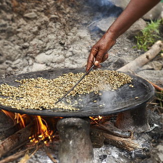Café BIO* Ethiopie DJIMMAH OROMIA